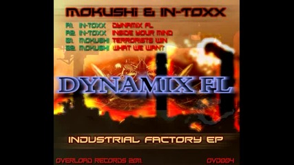 In-toxx - Dynamix Fl
