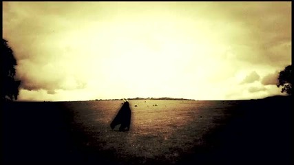 Steven Wilson Remainder The Black Dog