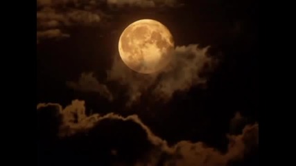 B B King - Tomorrow Night