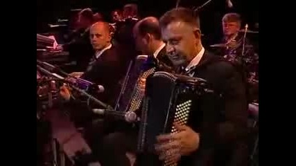 06. Miroslav Ilic - Bozanstvena zeno