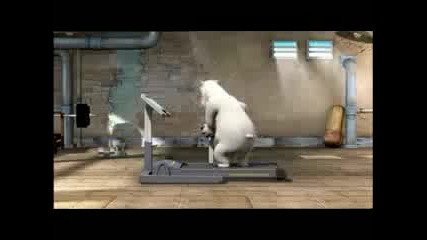 Bernard The Polar Bear Gym 
