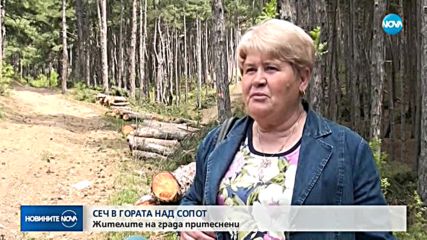 Жителите на Сопот - притеснени заради сеч в гората