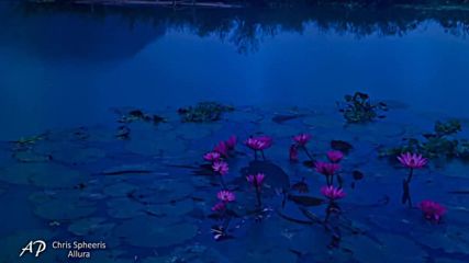 ♥♫♥ Chris Spheeris ♥ Allura ♥♫♥