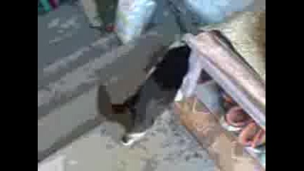 Mov00569.3gp