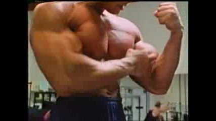 Arnold Schwarzenegger Vs Ronnie Coleman