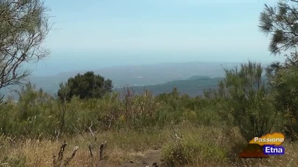 Etna - Monte Zoccolaro
