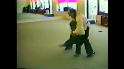 Шимпамзе каратист
