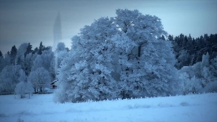 Nuage - All Been Tomorrow 