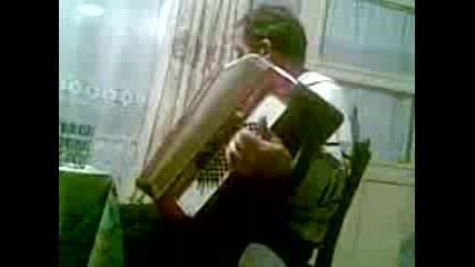 Акурдюон.3gp