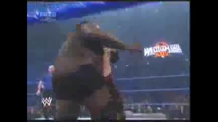 Brothers of Destruction vs Big Daddy and Mark Henry