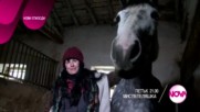 Мис Пепеляшка - петък по NOVA (24.02.2017)