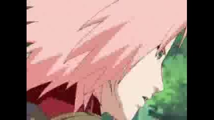 Sakura Amv