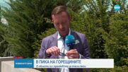 Навлизаме в пика на жегата с температури до 42 градуса