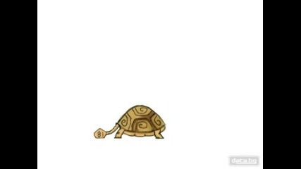 Секс между костенурки [fun animation]