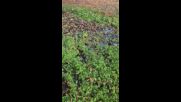 Безхаберието на "Софийска вода"