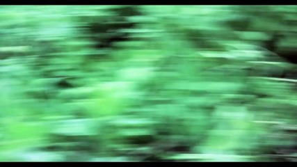 Jack and Jack - Wild Life (official Music Video)
