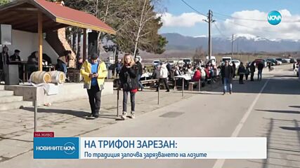 Пътят на виното: Как винопроизводителите посрещат Трифон Зарезан