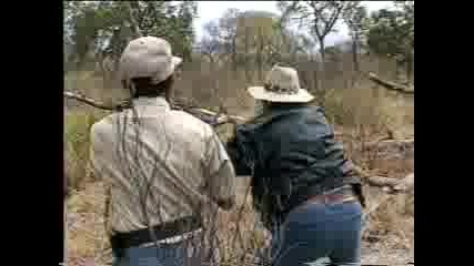 Лов На Антилопи