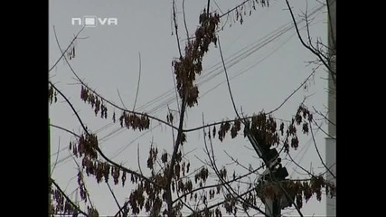 Пиратството - печалба на чужд гръб 