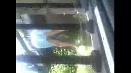 4ista4ki