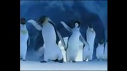 Танцът на Пингвините