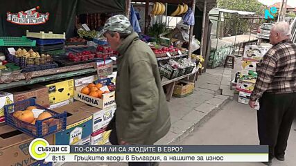 Каква е цената на ягодите тази година