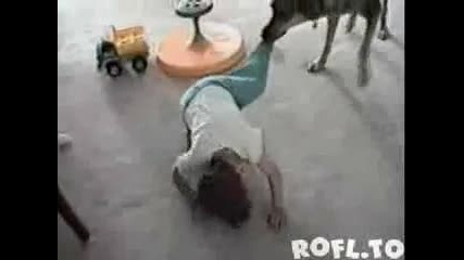 Смях - кучето си иска панталоните ! 