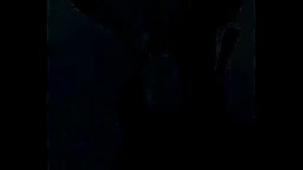 Братя Аргирови Силвия