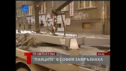 Паяците в София замръзнаха 