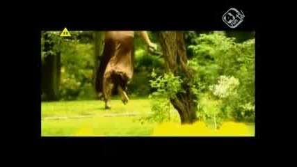 East Clubbers - My Love