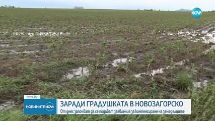 Започва приемът на заявления за обезщетения след градушката в Новозагорско