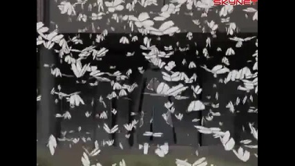 Akatsuki Amv Hollow - Naruto Shippuden