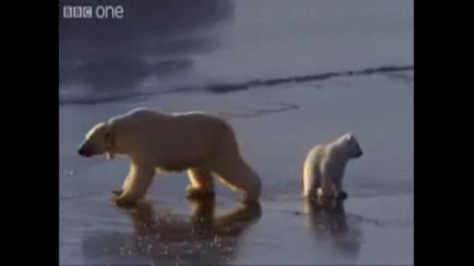 Готиното предвижване (плъзгаики се ) по леда