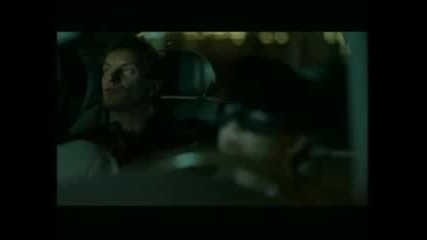 Sting - Desert Rose
