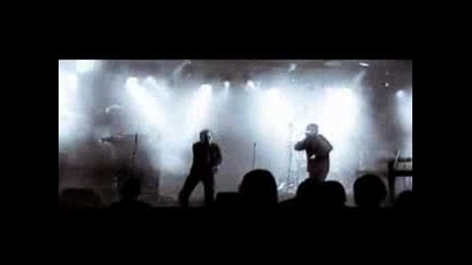 Days of Fate - Rising again