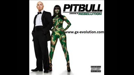 08 - Pitbull - Hotel Room Service ( Rebelution 2oo9 )