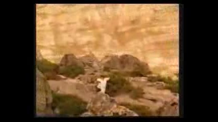 Tina Turner - Silent Wings 