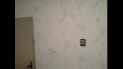 дени 