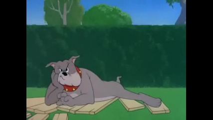 [hq] Tom and Jerry [hq]
