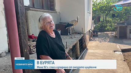92-годишна жена спаси съборено от бурята щъркелче в Казанлъшко