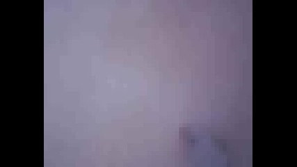 Honda Cbr Burnout