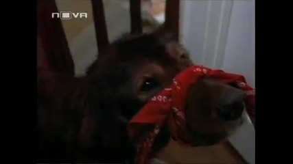 Флюк 1995 Бг Аудио Целият Филм Tv Rip Нова Телевизия 2009