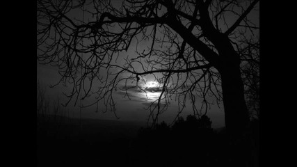 *vocal* Myon and Shane feat. Aruna - Helpless (monster mix)