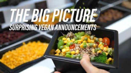 7 companies that have already gone Vegan in the last week