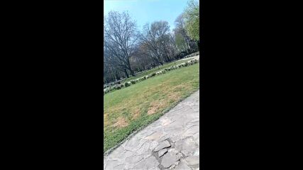 Vid_20230415_144347.mp4