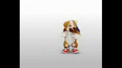 Chacarron Dog