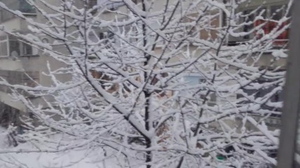 Снеговалеж 3-та част