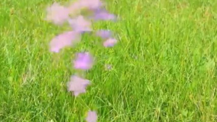 Красивые Душевные Песни