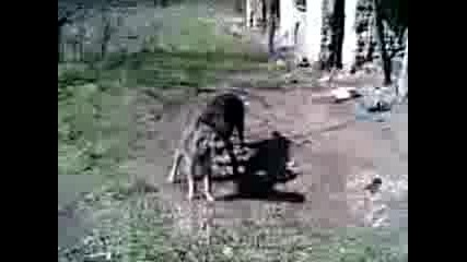 секс в недан