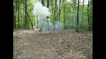 Cobra 3 vs Bigtiger 